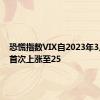 恐慌指数VIX自2023年3月以来首次上涨至25