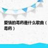 爱情的毒药是什么歌曲（爱情的毒药）