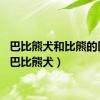 巴比熊犬和比熊的区别（巴比熊犬）