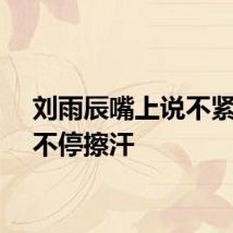 刘雨辰嘴上说不紧张却不停擦汗