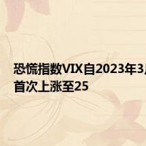 恐慌指数VIX自2023年3月以来首次上涨至25