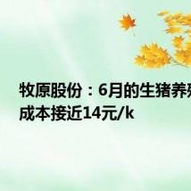 牧原股份：6月的生猪养殖完全成本接近14元/k