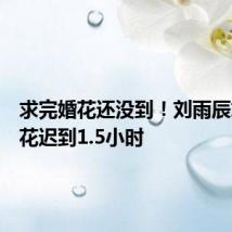 求完婚花还没到!刘雨辰求婚用花迟到1.5小时