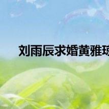 刘雨辰求婚黄雅琼