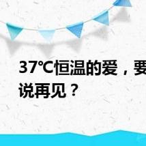 37℃恒温的爱,要如何说再见?