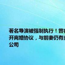 著名导演被强制执行！曾在微博公开离婚协议，与前妻仍有多家合伙公司
