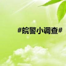 #皖警小调查#