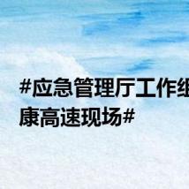 #应急管理厅工作组赴雅康高速现场#