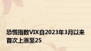 恐慌指数VIX自2023年3月以来首次上涨至25