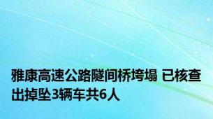雅康高速公路隧间桥垮塌 已核查出掉坠3辆车共6人