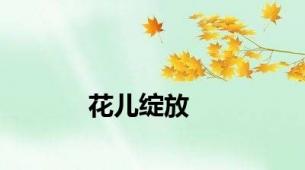 花儿绽放