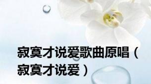 寂寞才说爱歌曲原唱（寂寞才说爱）