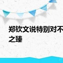 郑钦文说特别对不起张之臻