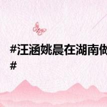 #汪涵姚晨在湖南做大席#