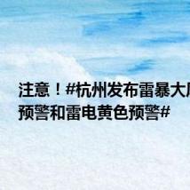 注意!#杭州发布雷暴大风黄色预警和雷电黄色预警#