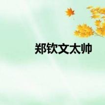 郑钦文太帅