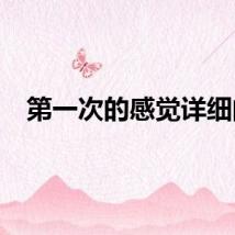 第一次的感觉详细的