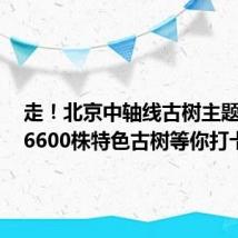 走!北京中轴线古树主题游线,6600株特色古树等你打卡