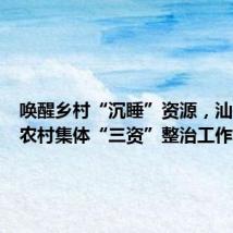 唤醒乡村“沉睡”资源,汕头龙湖农村集体“三资”整治工作再提速