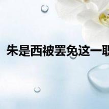 朱是西被罢免这一职务