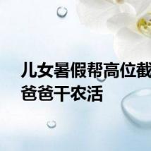 儿女暑假帮高位截瘫的爸爸干农活