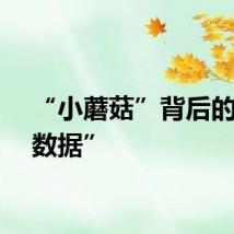 “小蘑菇”背后的“大数据”