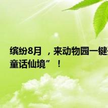 缤纷8月 ,来动物园一键开启“童话仙境”!