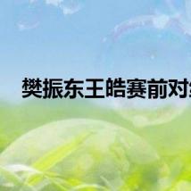 樊振东王皓赛前对练