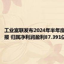 工业富联发布2024年半年度业绩快报 归属净利润盈利87.391亿元