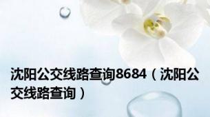 沈阳公交线路查询8684（沈阳公交线路查询）