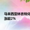 马来西亚林吉特兑美元涨超2%