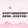 你见或不见我我就在那里不悲不喜是谁写的（你见或不见我）