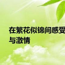 在繁花似锦间感受速度与激情