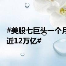 #美股七巨头一个月蒸发近12万亿#