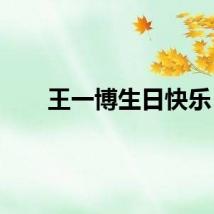 王一博生日快乐