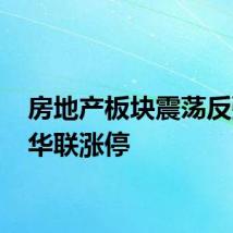 房地产板块震荡反弹 新华联涨停