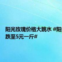 阳光玫瑰价格大跳水 #阳光玫瑰跌至5元一斤#