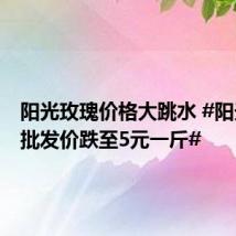 阳光玫瑰价格大跳水 #阳光玫瑰批发价跌至5元一斤#