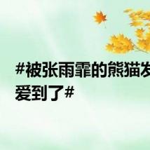 #被张雨霏的熊猫发箍可爱到了#