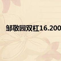 邹敬园双杠16.200分