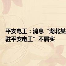 平安电工:消息“湖北某国资入驻平安电工”不属实