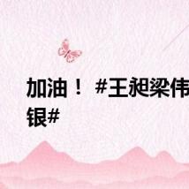 加油！ #王昶梁伟铿摘银#