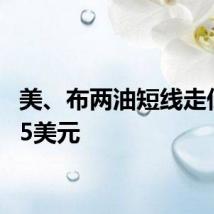 美、布两油短线走低约0.5美元