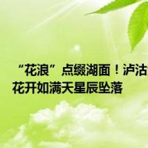 “花浪”点缀湖面!泸沽湖海菜花开如满天星辰坠落