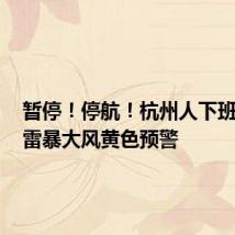 暂停！停航！杭州人下班注意，雷暴大风黄色预警