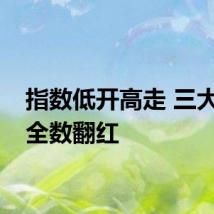 指数低开高走 三大指数全数翻红
