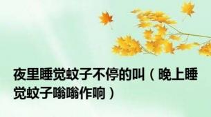 夜里睡觉蚊子不停的叫（晚上睡觉蚊子嗡嗡作响）