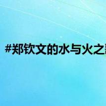 #郑钦文的水与火之歌#