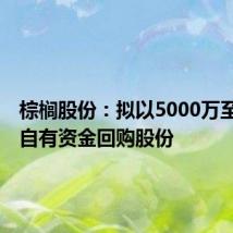 棕榈股份:拟以5000万至1亿元自有资金回购股份