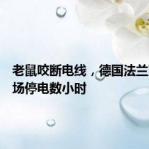 老鼠咬断电线，德国法兰克福机场停电数小时